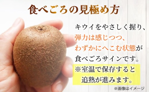 果物 キウイ きうい 選べる ビタミン 美容 キウイ