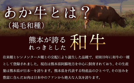 あか牛（褐毛和牛） ヒレステーキ 450g フィレ ヘレ《60日以内に出荷予定(土日祝除く)》 