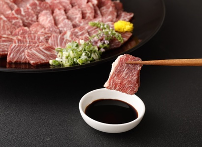 馬刺し 熊本  国産 600g (100g×6個)  霜降り大トロ馬刺し