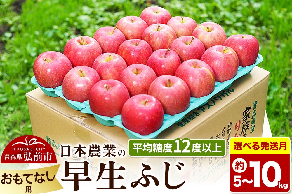 
                  りんご【選べる26年 10月／11月 発送】早生ふじ【おもてなし用】【選べる約 5kg／10kg】平均糖度12度以上 青森 果物 フルーツ 林檎 リンゴ くだもの [先行受付 産地直送 アップル 青森県 弘前市]
                