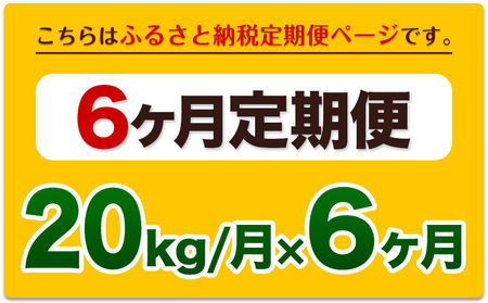 令和6年産新米 【6ヵ月定期便】 白米 ひのひかり 定期便 20kg 5kg×4袋《お申込み翌月から出荷開始》 熊本県産 精米 ひの 米 こめ ヒノヒカリ コメ お米