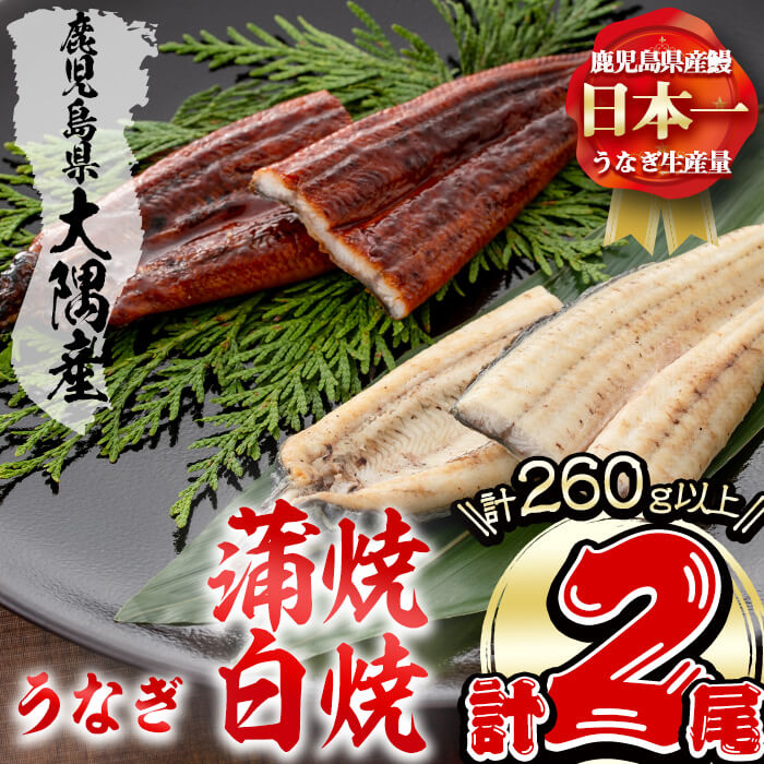 【ふるさと納税】楠田の極うなぎ蒲焼130g以上×1尾・白焼130g以上×1尾(計260g以上) 山椒付たれ 鰻 ウナギ 蒲焼 白焼き うな重 ひつまぶし 鹿児島 冷凍 おかず お祝い 食べ比べ【楠田淡水】a4-094
