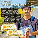 【ふるさと納税】 たまご と ランチョンミート セット 卵 20個 スパム 缶詰 840g 新鮮 平飼い ストックピックポック 豚肉 国産 肉 埼玉県 羽生市 送料無料