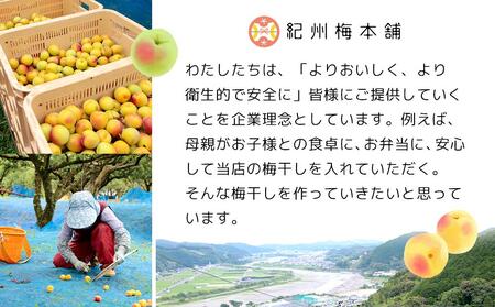紀州南高梅 塩分約2.7% 特大粒 訳ありつぶれ梅 はちみつ梅 400g×6個 2.4kg 減塩梅干し 紀州梅本舗【特大粒 つぶれ梅 南高梅 ワケあり 梅干し お漬物 和歌山県 白浜町】