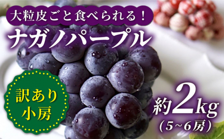 【訳あり】【数量限定】【甘い！】ナガノパープル 約2kg（5～6房） ＜山田敦義＞ [CCX004]