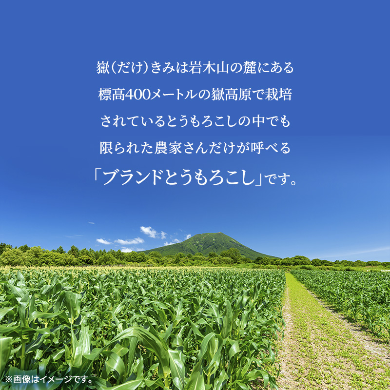 【8月より発送】朝採り 嶽きみ（だけきみ） 10本 フルーツのようなとうもろこし【青森県弘前市・岩木山麓嶽高原産・とうもろこし】※オンライン決済のみ