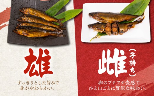 年末配送【12月21日～12月31日お届け】郡上天然鮎の甘露煮 メス 子持ち 卵 長良川 郡上鮎 岐阜鮎 /  鮎 アユ 甘露煮 鮎の甘露煮 惣菜 おつまみ おかず ご飯のお供 鮎 あゆ  郡上鮎 鮎
