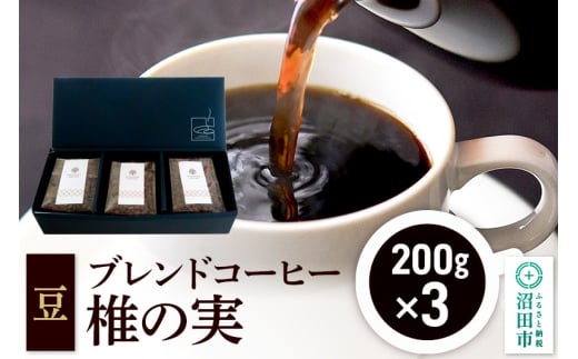 ブレンドコーヒー 豆「椎の実」200g×3袋 土田商店