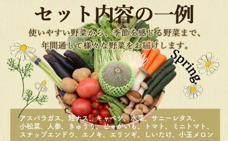 贅沢 野菜 セット どっさり 16品目以上 季節の野菜 フルーツ キノコ 詰め合わせ / 吉岡青果 / 長崎県 雲仙市[item0628]