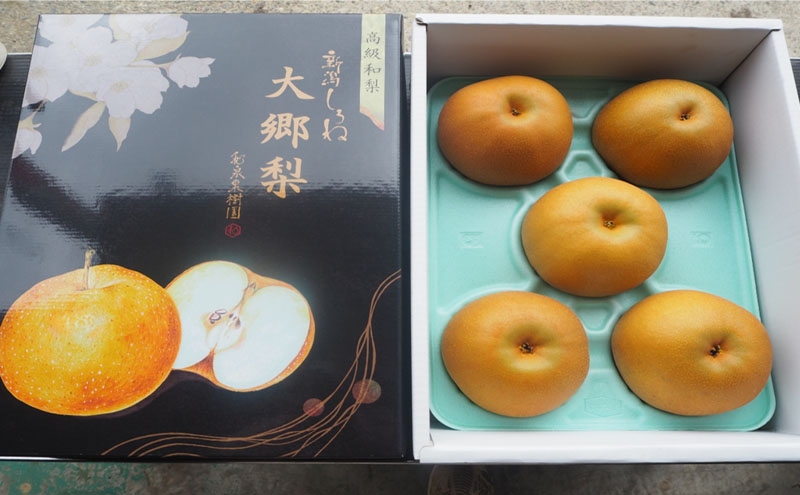 
            大郷梨3kg（新美月・秋月）
          