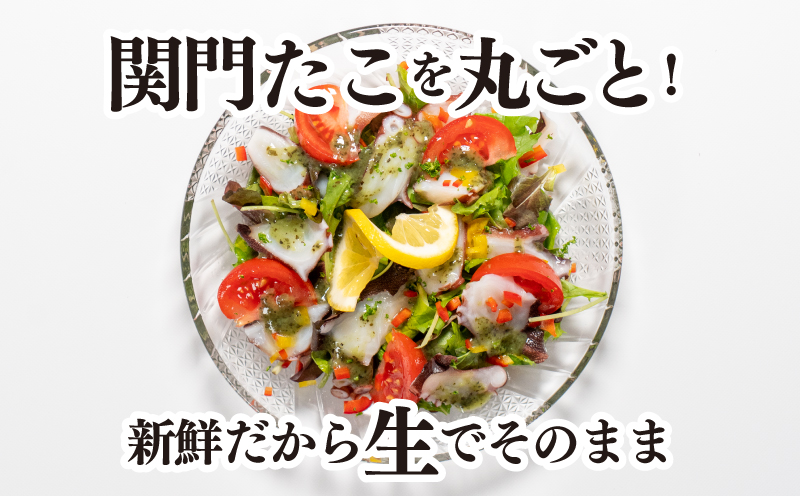 関門 たこ タコ 蛸 真だこ マダコ 1杯 1匹 冷凍 真空 刺身 たこ焼き 下関 山口
