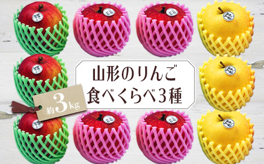 【2026年発送】山形のりんご食べくらべ3種 約3kg_H080(R8)