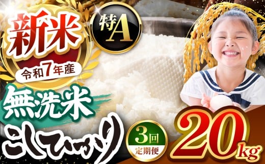 【栃木県共通返礼品】【令和7年度新米先行予約】栃木県産コシヒカリ 無洗米 20kg 定期便3回 | 定期便 お米 米 こめ 洗米 新米 無洗米 コシヒカリ こしひかり 美味しい お弁当 選べる ふるさと 納税 栃木県 矢板市