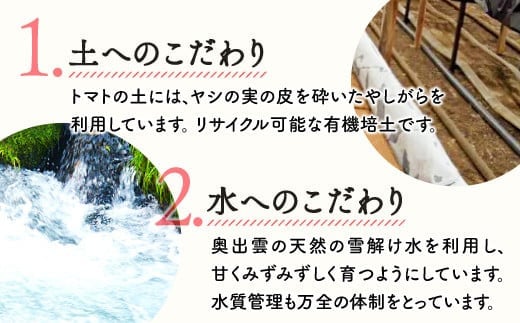 トマトの土には、ヤシの実を砕いた有機培土を利用。水は奥出雲の天然の雪解け水を利用して甘くみずみずしく育つようにしています。