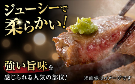 艶さし ！ 佐賀牛サーロインステーキセット 500g ( 250g ×2枚) 吉野ヶ里町 佐賀牛 牛肉 肉 サーロイン ステーキ 国産 ブランド牛[FDB010]
