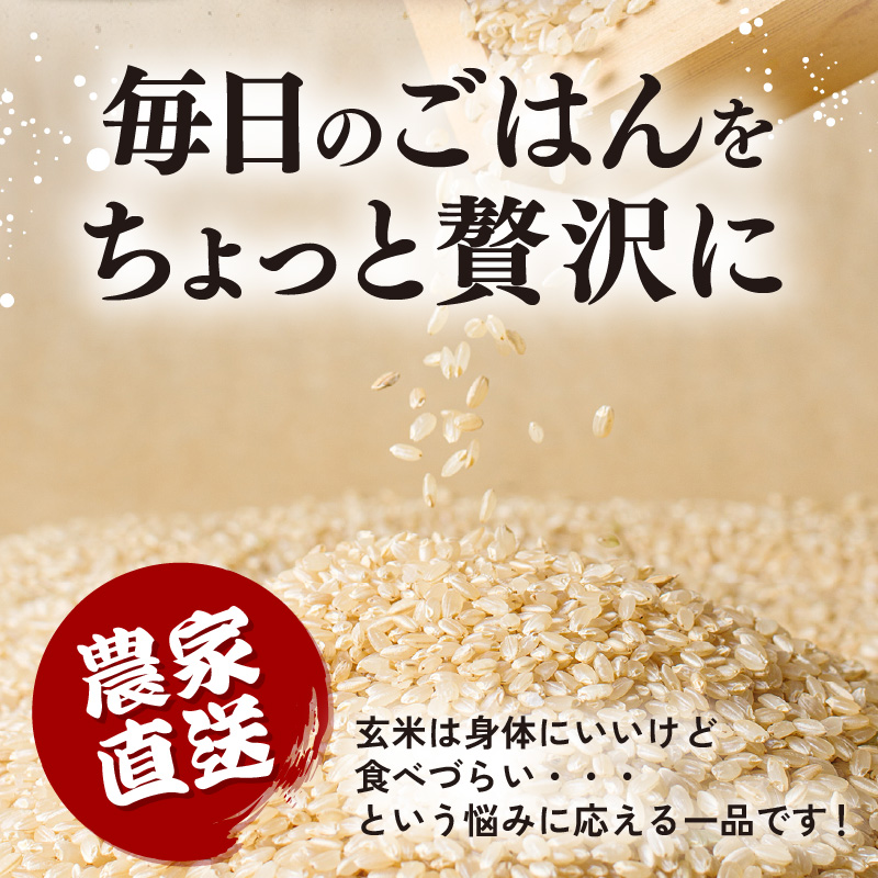 【先行予約】【令和8年産】定期便 ≪12ヶ月連続お届け≫ にじのきらめき うまみ玄米 5kg×12回 ／ 鮮度抜群 キロ 福井県あわら産 玄米 お米 ※2026年10月上旬より順次発送 [aw071-