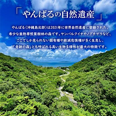 ふるさと納税 国頭村 希少品種「蔡温松」一枚板(幅約70cm×長さ約120cm×厚み約7cm)天然木 |  | 01