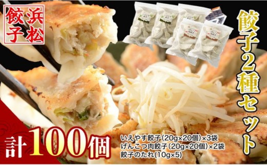
                  「浜松餃子」いえやす餃子 2種 100個セット【配送不可：離島】 惣菜 冷凍 冷凍餃子 食べ比べ あっさり 肉餃子 ジューシー おかず つまみ 
                