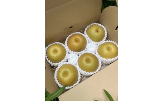 【先行受付】会津の美味しい梨 豊水 約3kg（5玉～6玉）◇｜ 期間限定 梨 なし ナシ 果物 フルーツ 甘い ジューシー 果実 くだもの 国産 果実 会津美里町産 ※2025年9月中旬～9月下旬頃に