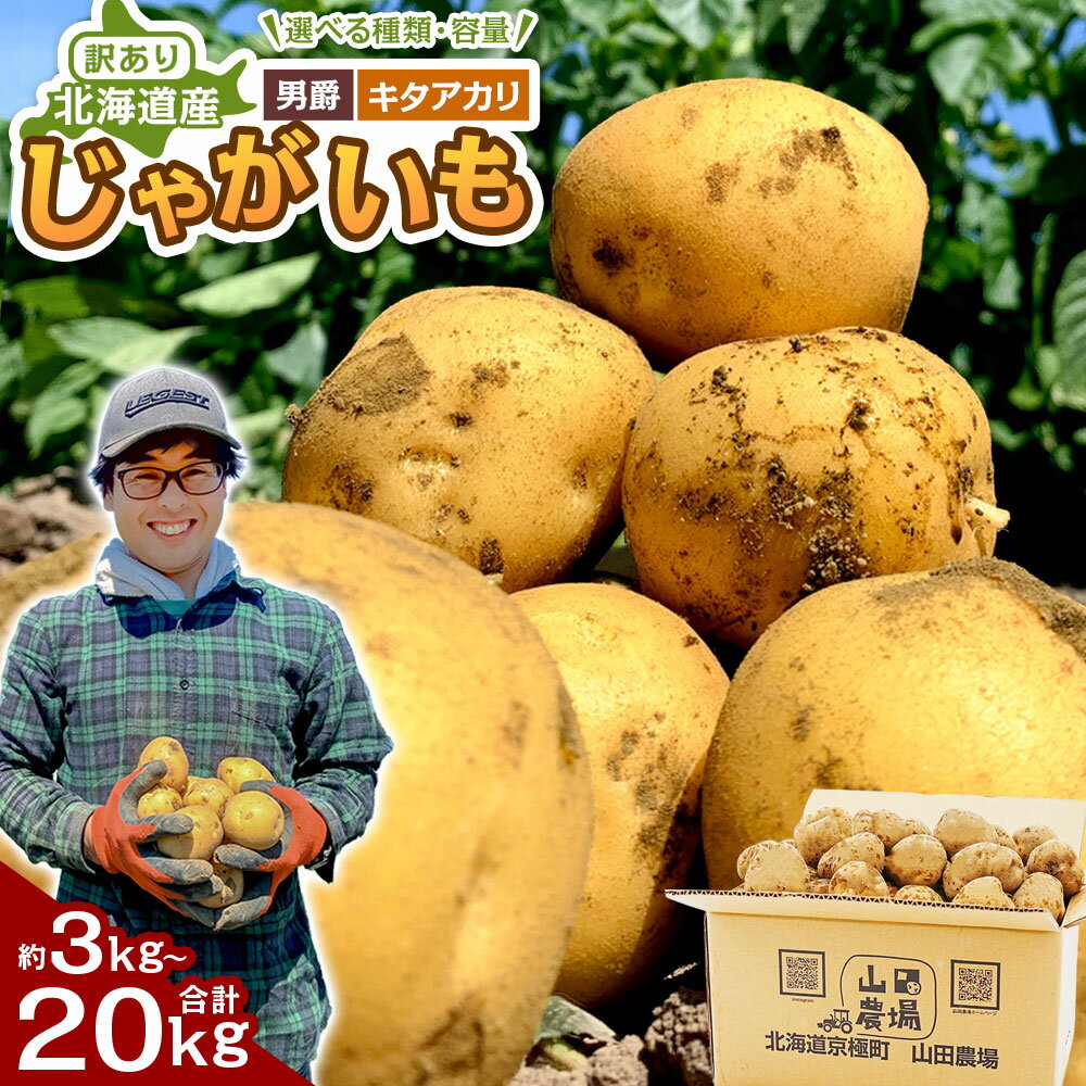 【ふるさと納税】【訳あり】北海道産じゃがいも 男爵/キタアカリ 約3kg / 約5kg / 約10kg / 約20kg ＜ 選べる種類 ・ 選べる内容量 ＞ M～2Lサイズ混載 混載 ジャガイモ 野菜 シチュー カレー 京極町産 北海道産 国産 送料無料 【2026年9月下旬-2027年1月上旬迄発送予定】