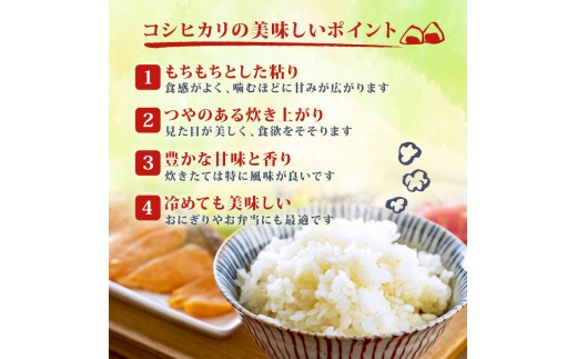 【令和8年産 先行予約】12月発送 新米 コシヒカリ 定期便 10kg 5kg×2袋 3か月 新潟 3回 3カ月 コンテスト入賞米 定期便 特栽米 新潟県産コシヒカリ 新発田産 新潟 ふるさと納税 米