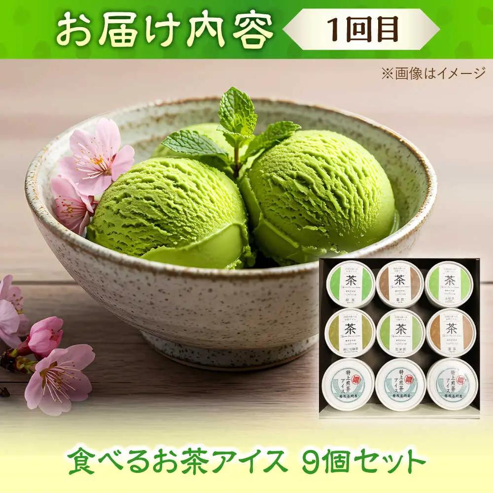 【全2回定期便】奥出雲のスイーツ 美味しいお茶のおやつセット（お茶アイス9個・茶ロールケーキ3本・茶団子5串×2）[AIAY013]