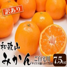 和歌山産 【訳あり】ミカン 7 . 5kg 【ご自宅用・サイズ不揃い・キズ等あり】