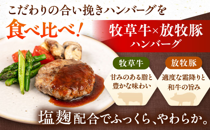 【全12回定期便】ハンバーグ 食べ比べ 10個セット（蝦夷鹿/牧草牛/放牧豚）《厚真町》【GOODGOOD株式会社】 ハンバーグ 鹿肉 牛肉 豚肉 セット 食べ比べ 小分け 冷凍配送 北海道 [AXB