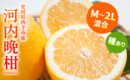 ＜愛媛県産 河内晩柑 約2.5kg（M～2L）＞ 柑橘 みかん フルーツ 和製グレープフルーツ ジューシー 初夏 旬 サイズ混合 西宇和 国産 さっぱり 甘い 農園オレンジとムラサキ 西予市【常温】『