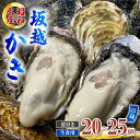 【ふるさと納税】牡蠣 生食用 坂越かき 殻付き 20～25個 昭和水産 [ 生牡蠣 真牡蠣 かき カキ 冬牡蠣 ]　 魚貝類 海鮮 海のミルク 身が大きい 濃厚 風味豊か 旨味 新鮮な牡蠣 　お届け：2025年1月中旬～2025年3月末