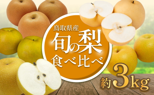 【2026・先行予約】 品種はおまかせ2種類 旬の梨ミックス 3kg｜鳥取 果物 くだもの フルーツ なし 梨 旬 和梨 二十世紀梨 新甘泉 秋甘泉 王秋 数量限定 2026年収穫後【41042】
