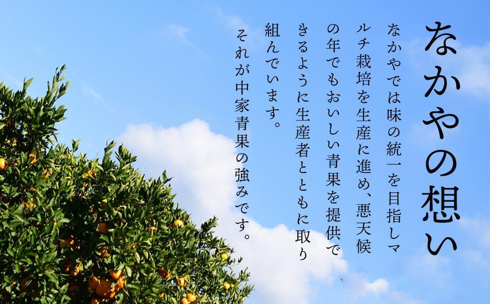 和歌山県産 糖度 9.5度以上 訳あり みかん 7kg 傷み補償+200g 3S ～ 2Lサイズ混合［MG58］