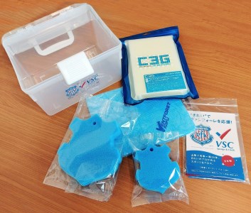 ヴァンフォーレ甲府 応援 洗車 洗浄 スポンジ＆クロスセット