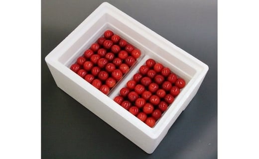 08-04-010　さくらんぼ(佐藤錦)特選手詰め1kg