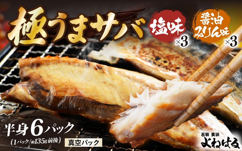 
            干物 鯖一夜干し 極うまサバ 半身6パック （塩味1枚×3パック 醤油みりん味1枚×3パック）【福井 天然 さば 日用 使い ひもの 冷凍 小分け 個包装 真空パック ご飯のお供 酒の肴 食べ比べ セット】[m17-b016]
          