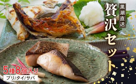 魚 5種 8個入 詰め合わせ セット