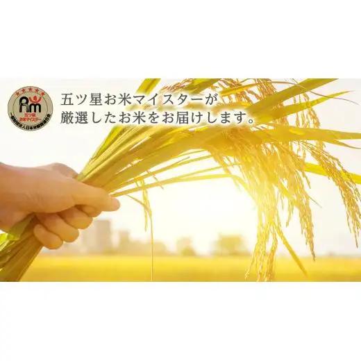 《 令和7年産 》茨城県産 ミルキークイーン 20kg ( 5kg × 4袋 )  米 コメ こめ 五ツ星 高品質 白米 精米 お弁当 期間限定