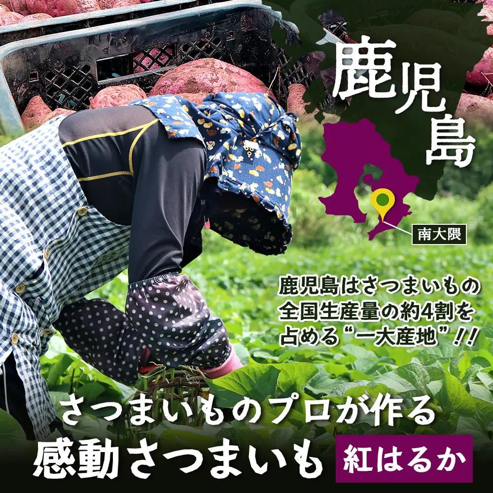 【先行予約：11月下旬配送～】熟成 さつまいも 紅はるか 3kg Sサイズ (美味しい焼き芋の焼き方 説明書付き） FR-211 ｜ 秋の味覚 2026年秋収穫 貯蔵 長期熟成 糖化 さつまいも サツ