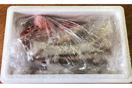 [12月21日決済分まで年内配送]【北海道根室産】生冷凍たらばがに脚カット済300g・ボイル冷凍花咲ガニ1尾セット B-59004