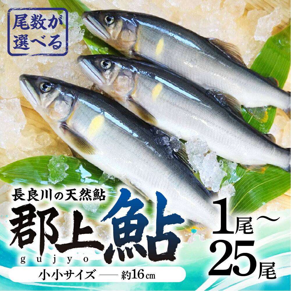 【ふるさと納税】【尾数が選べる】郡上鮎 長良川の天然鮎 小小サイズ(約16cm) 1尾～25尾 / 食品 魚介類 水産加工品 その他水産物 鮎 アユ 5000円 10000円 15000円 20000円 30000円