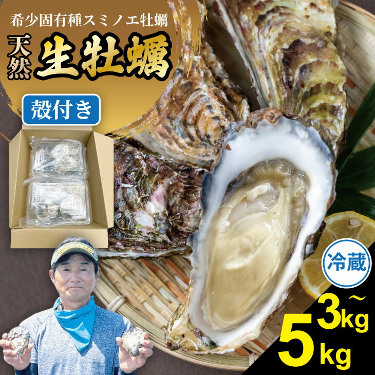 【ふるさと納税】【先行予約】 【選べる配送月・内容量】【天然】有明海産住之江牡蠣 3キロ〜5キロ 3kg 5kg 殻付き 牡蠣 冷蔵牡蠣 スミノエ牡蠣 カキ 殻付き かき 冷蔵 貝 貝類 天然 送料無料 海鮮 海産 海産物 ハクエイ水産 【B160-024】