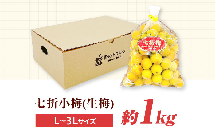 梅 七折小梅(生梅)  約1kg 【5月中旬から6月下旬まで順次発送】 / 小梅 青梅 生梅 梅干し 梅干 梅酒 梅ジュース 梅シロップ 1kg 先行予約 / 愛媛県砥部町/株式会社フジ・アグリフーズ
