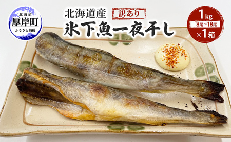 訳あり 氷下魚 一夜干し 1kg こまい コマイ 白身魚 干物