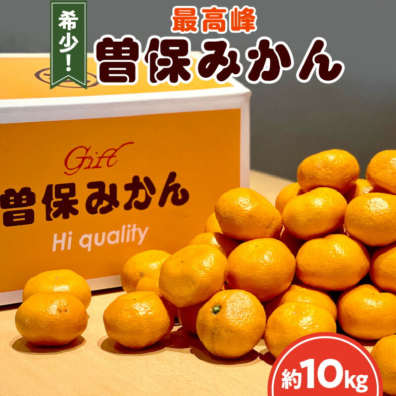 【ふるさと納税】 みかん 最高峰 曽保みかん 約10kg [ フルーツ 果物 果実 希少 柑橘 デザート スイーツ 甘い 果汁 常温 食品 国産 香川県 三豊市 お取り寄せ お取り寄せグルメ ギフト プレゼント 送料無料 旬 北浜商店 ] 【配送不可地域：北海道・沖縄県・離島】