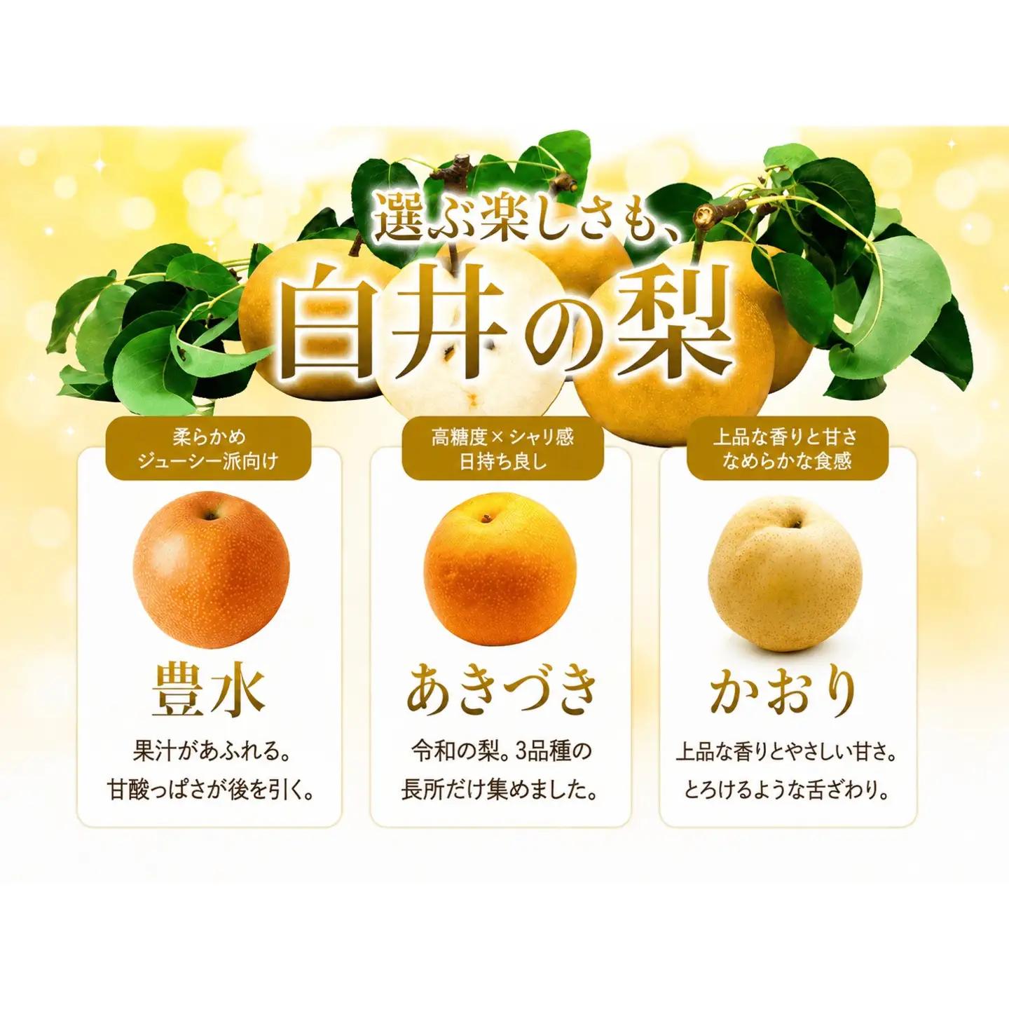 あきづき約5kg12～18玉