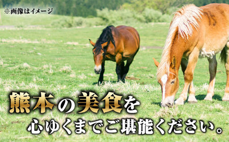 大トロ馬刺し 約300g 霜降り馬刺し ブロック 熊本県 合志市【阿蘇牧場】[AYBX099]