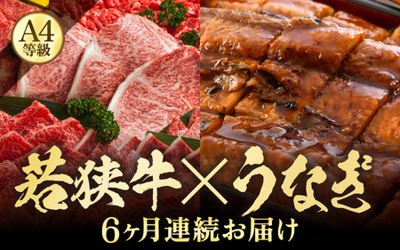 【定期便 6回コース】 蒲焼き鰻 と 肉の鉄板コース 定期便 【うなぎ＆若狭牛】【牛肉 牛 国産牛 国産 和牛 お肉 ブランド牛 焼肉 鰻のかば焼き ウナギ 黒毛和種 黒毛和牛 A4等級クラス 人気】 [I-3201]