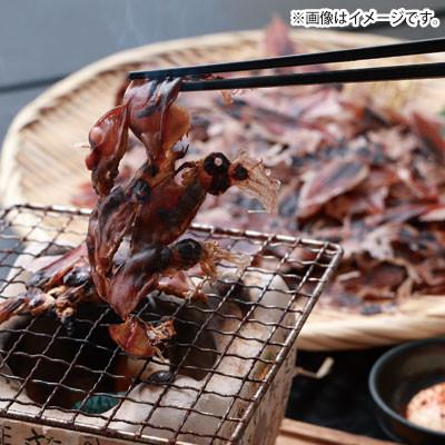ふるさと納税 香美町 【訳あり】兵庫県香住産　ほたるいか素干し  60g  07-111 |  | 02