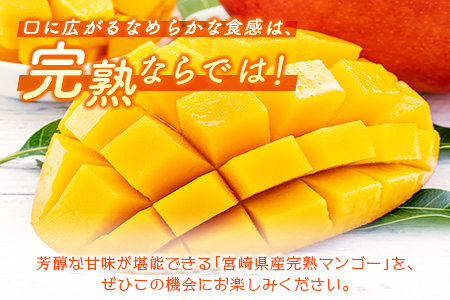 宮崎県産 完熟マンゴー＜2L×2玉 (計700g以上) ＞化粧箱入 フルーツ くだもの 国産【C355-25】