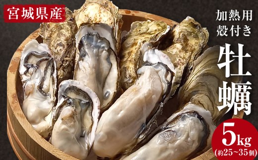 牡蠣 宮城県産 選別済み 5kg 加熱用 真牡蠣 かき カキ 貝 貝類 海産物 魚介類 海鮮 冷凍 宮城県 宮城 石巻市 石巻
